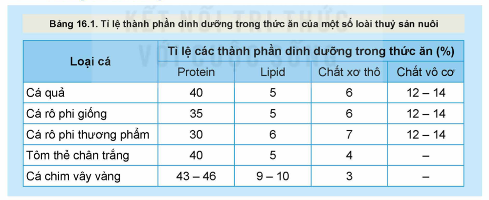 Anh-chup-Man-hinh-2025-07-30-luc-10
