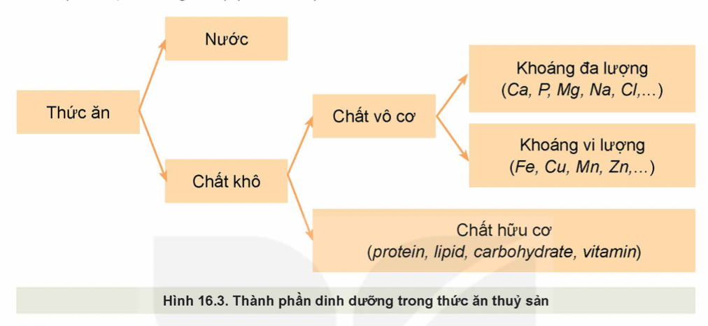 Anh-chup-Man-hinh-2025-07-30-luc-10