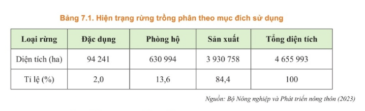 Anh-chup-Man-hinh-2025-08-01-luc-4