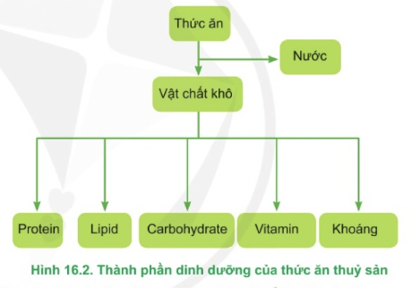 Anh-chup-Man-hinh-2025-08-02-luc-2