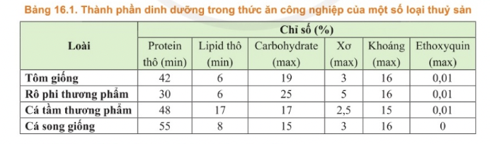 Anh-chup-Man-hinh-2025-08-02-luc-2